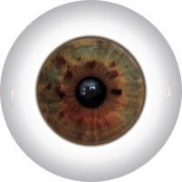 Doll Eyes 49KR | Awesome Eyes for Your Creations: CraftEyes.com