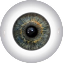 Doll Eyes 51KR | Awesome Eyes for Your Creations: CraftEyes.com