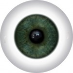 Doll Eyes 54KN