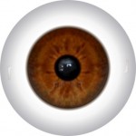 Doll Eyes 58KN