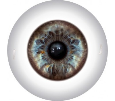 Doll Eyes 12KN
