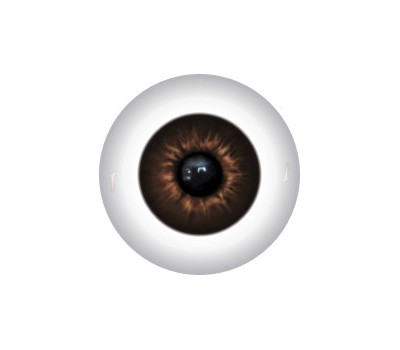 Doll Eyes 293KR