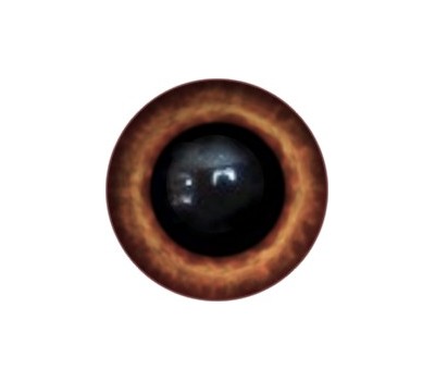 Amigurumi/Teddy Eyes 12А