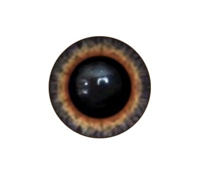 Amigurumi/Teddy Eyes 134А