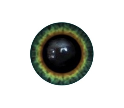 Amigurumi/Teddy Eyes 137А