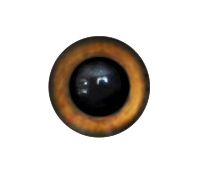 Amigurumi/Teddy Eyes 148А