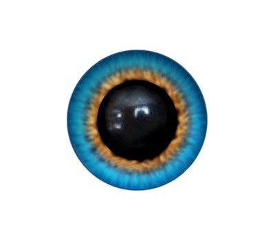 Amigurumi/Teddy Eyes 176А