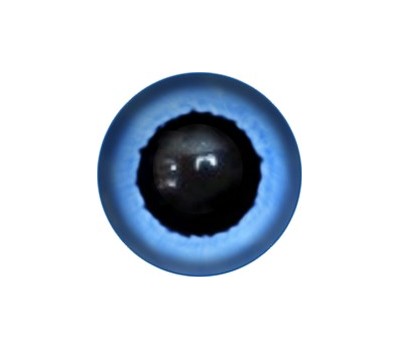 Amigurumi/Teddy Eyes 177А