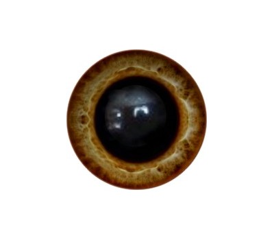 Amigurumi/Teddy Eyes 181А