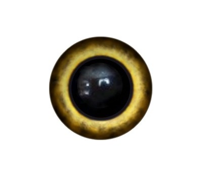 Amigurumi/Teddy Eyes 183А