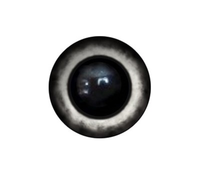 Amigurumi/Teddy Eyes 184А