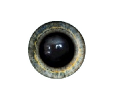 Amigurumi/Teddy Eyes 187А