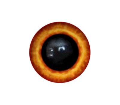 Amigurumi/Teddy Eyes 18А