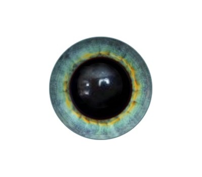 Amigurumi/Teddy Eyes 193А