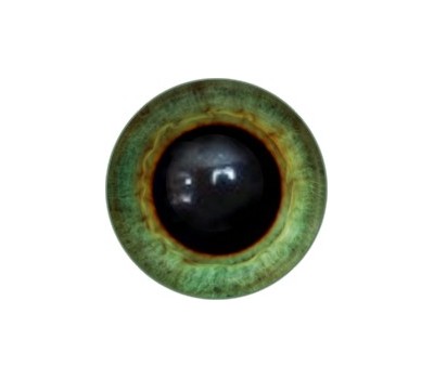 Amigurumi/Teddy Eyes 195А