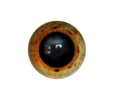 Amigurumi/Teddy Eyes 197А