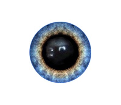 Amigurumi/Teddy Eyes 229А