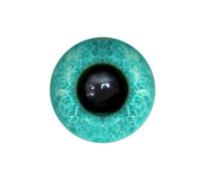 Amigurumi/Teddy Eyes 243А