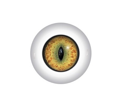 Slit Pupil Doll Eyes 29KK