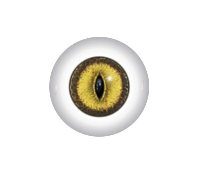 Slit Pupil Doll Eyes 48KK