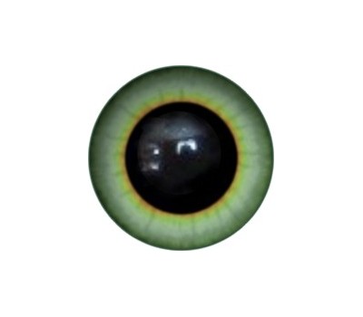 Amigurumi/Teddy Eyes 49А