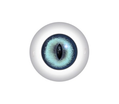 Slit Pupil Doll Eyes 59KK