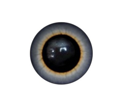 Amigurumi/Teddy Eyes 61А