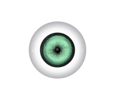 Slit Pupil Doll Eyes 74KK