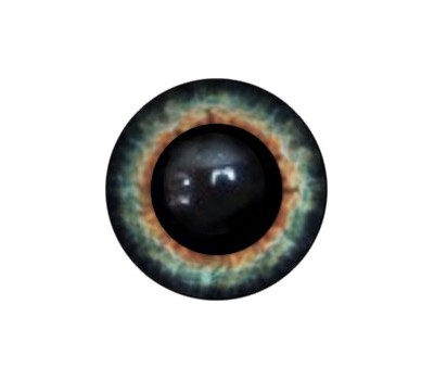 Amigurumi/Teddy Eyes 8А