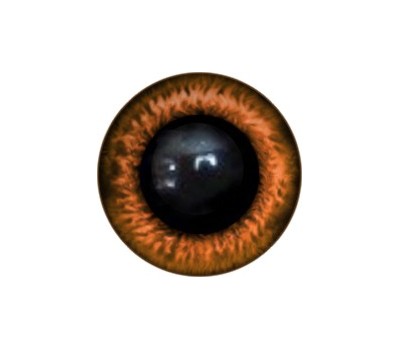 Amigurumi/Teddy Eyes 95A