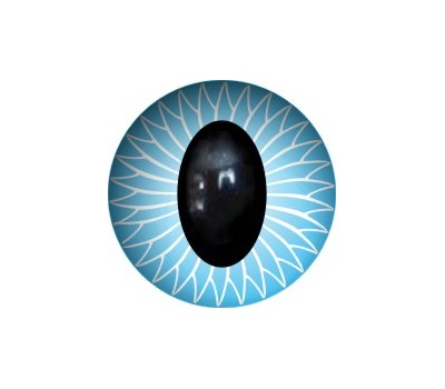 Simplified Cat Eyes GK14