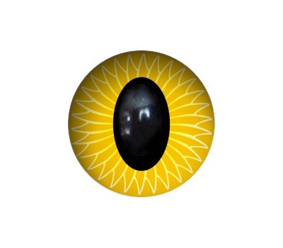 Simplified Cat Eyes GK22