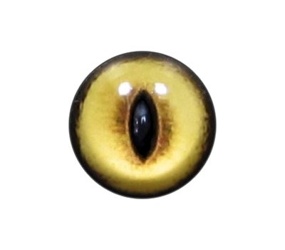Cat Eyes KK20