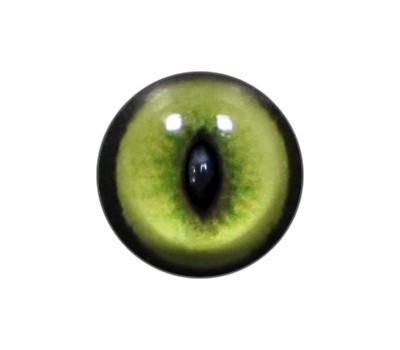 Cat Eyes KK31