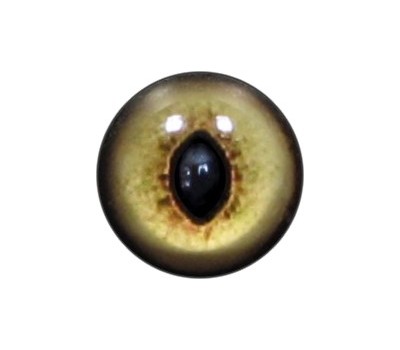 Cat Eyes KK40