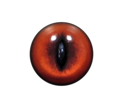 Cat Eyes KK43