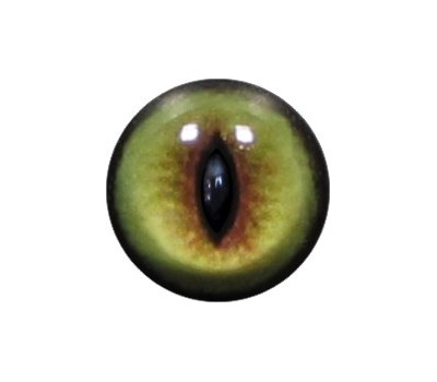 Cat Eyes KK47