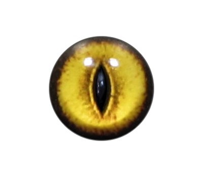 Cat Eyes KK48