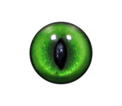 Cat Eyes KK54