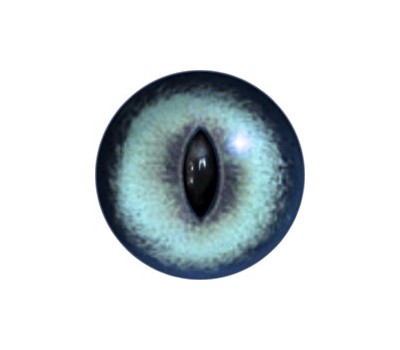Cat Eyes KK59