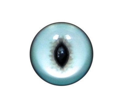 Cat Eyes KK61