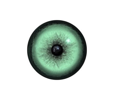 Cat Eyes KK74
