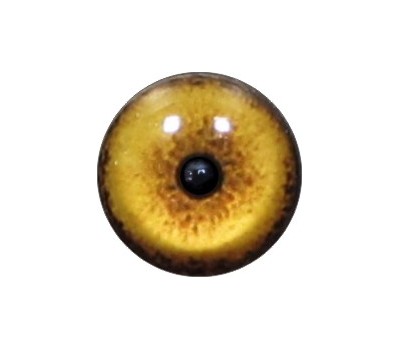 Cat Eyes KK89