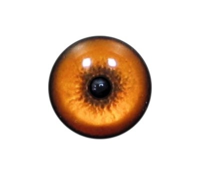Cat Eyes KK93