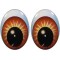 Oval Eyes for Toys GO-52.2